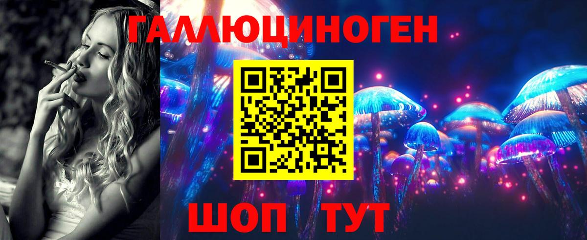 Зима  купить  цена  Вход с VPN  Галлюциногенные грибы GOLDEN TEACHER 